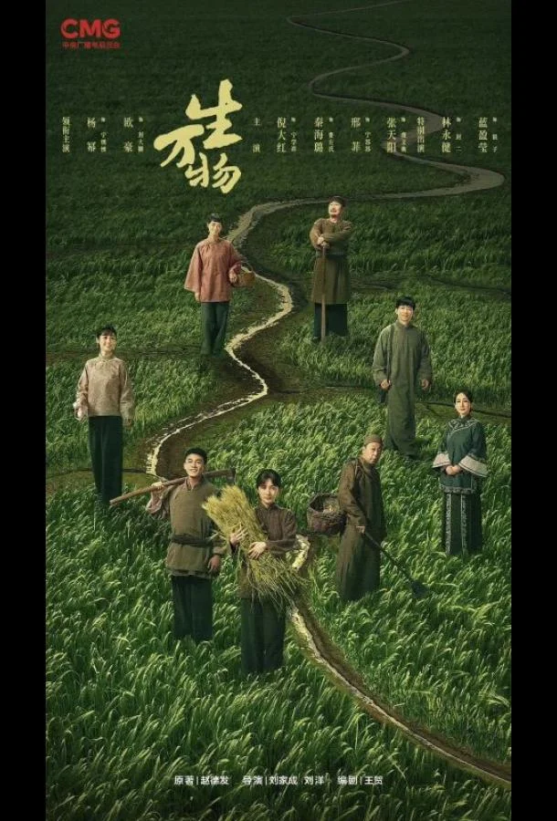 Процветающая земля